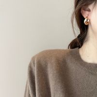 1 Pair Simple Style Geometric Metal Plating Women's Earrings main image 4