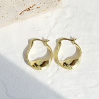 1 Pair Simple Style Geometric Metal Plating Women's Earrings main image 2
