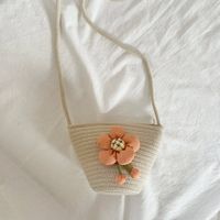Women's Mini Straw Flower Fashion Bucket Zipper Crossbody Bag sku image 1