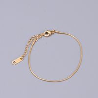 Heart 304 Stainless Steel Titanium Steel 18K Gold Plated Rose Gold Plated No Inlaid Anklet In Bulk sku image 3