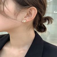 1 Pair Simple Style Leaf Plating Inlay Copper Zircon 24k Gold Plated Ear Studs main image 5