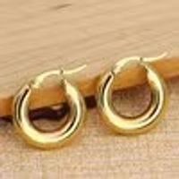 1 Pair Simple Style Solid Color Plating Stainless Steel Earrings sku image 3