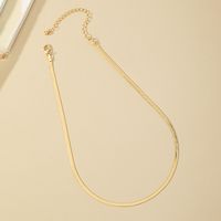 Wholesale Jewelry Hip-hop Simple Style Solid Color Alloy Necklace main image 3