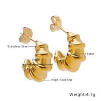 1 Paar Ig-stil Geometrisch Überzug Titan Stahl Ohrringe sku image 2