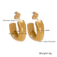1 Paar Ig-stil Geometrisch Überzug Titan Stahl Ohrringe sku image 5