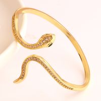 Ins Style Retro Snake Copper 18k Gold Plated Zircon Bangle In Bulk sku image 3