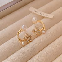 Sucré Vêtement De Rue Fruit Forme De Cœur Fleur Alliage Émail Placage Incruster Perles Artificielles Strass Femmes Boucles D'oreilles sku image 14