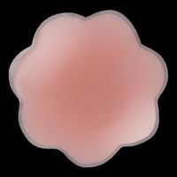 Adhesivo Para Pezones De Silicona Antiexposición Transpirable En Forma De Flor main image 4