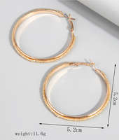 Exaggerated Vacation Round Seed Bead Ferroalloy Women's Hoop Earrings main image 3