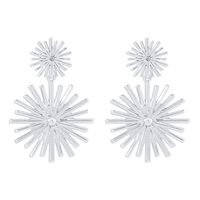 1 Pair Elegant Glam Lady Geometric Irregular Plating Metal Iron Drop Earrings sku image 2
