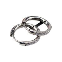 1 Pair Simple Style Circle Titanium Steel Inlay Zircon Earrings main image 3