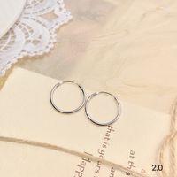 1 Pair Simple Style Round Sterling Silver Plating Rhodium Plated Hoop Earrings main image 4