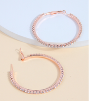 1 Pair Exaggerated Round Inlay Ferroalloy Rhinestones Hoop Earrings main image 2