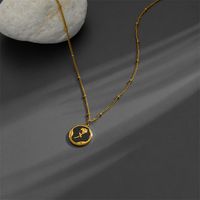 Acero Titanio Chapados en oro de 18k Elegante Enchapado Flor Acrílico Collar Colgante main image 5