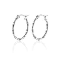 1 Pair INS Style Simple Style Commute Geometric Plating 304 Stainless Steel 18K Gold Plated Hoop Earrings main image 5