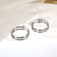 1 Pair INS Style Simple Style Commute Geometric Plating 304 Stainless Steel 18K Gold Plated Hoop Earrings main image 6