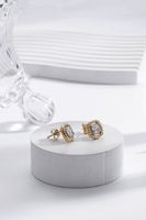 1 Paire Luxueux Brillant Ovale Les Gouttelettes D'Eau Forme De Cœur Incruster Acier Inoxydable 304 Zircon Boucles D'Oreilles sku image 8