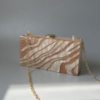 Gold Pvc Polyester Stripe Square Evening Bags main image 2