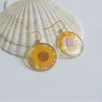 Simple Style Round Glass Patchwork Women's Drop Earrings sku image 1