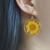 Simple Style Round Glass Patchwork Women's Drop Earrings main image 1