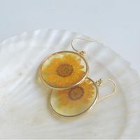 Simple Style Round Glass Patchwork Women's Drop Earrings main image 6