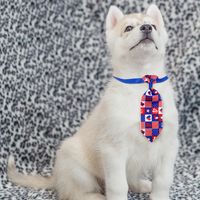 New Everyday Casual Independence Day Dog Tie Accessories main image 4