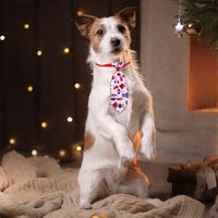 New Everyday Casual Independence Day Dog Tie Accessories main image 5