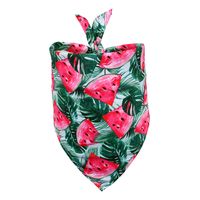 New Daily Casual Polyester Cactus Pattern Dog Scarf Pet sku image 4