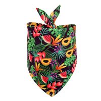 New Daily Casual Polyester Cactus Pattern Dog Scarf Pet sku image 5
