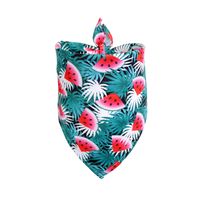 New Daily Casual Polyester Cactus Pattern Dog Scarf Pet sku image 15
