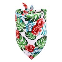 New Daily Casual Polyester Cactus Pattern Dog Scarf Pet sku image 19