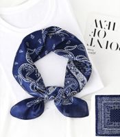 Women's Simple Style Printing Satin Silk Scarves sku image 9