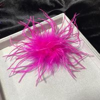 Retro Solid Color Feather Unisex Brooches sku image 9