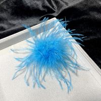 Retro Solid Color Feather Unisex Brooches main image 4