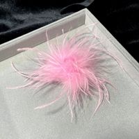 Retro Solid Color Feather Unisex Brooches sku image 10