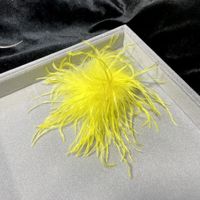 Retro Solid Color Feather Unisex Brooches sku image 2