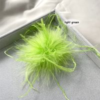 Retro Solid Color Feather Unisex Brooches sku image 5