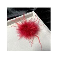 Retro Solid Color Feather Unisex Brooches main image 2