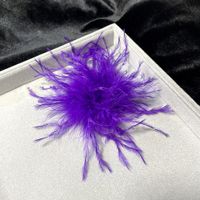 Retro Solid Color Feather Unisex Brooches sku image 4