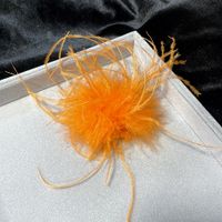 Retro Solid Color Feather Unisex Brooches sku image 11