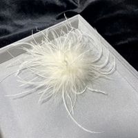 Retro Solid Color Feather Unisex Brooches sku image 12
