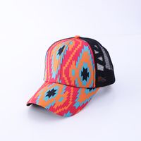 Unisex Casual Simple Style Stripe Lattice Flower Curved Eaves Baseball Cap sku image 4