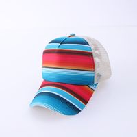 Unisex Casual Simple Style Stripe Lattice Flower Curved Eaves Baseball Cap sku image 7