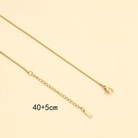 Stainless Steel 18K Gold Plated White Gold Plated Simple Style Plating Solid Color Necklace sku image 4