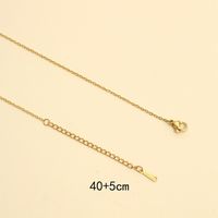 Stainless Steel 18K Gold Plated White Gold Plated Simple Style Plating Solid Color Necklace sku image 1