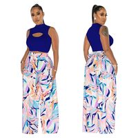 Women's Sexy Streetwear Color Block Polyester Printing Hollow Out Pants Sets main image 3