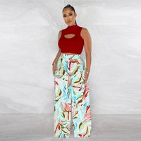 Women's Sexy Streetwear Color Block Polyester Printing Hollow Out Pants Sets main image 4