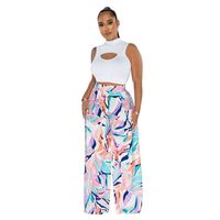 Women's Sexy Streetwear Color Block Polyester Printing Hollow Out Pants Sets sku image 4