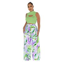 Women's Sexy Streetwear Color Block Polyester Printing Hollow Out Pants Sets sku image 11