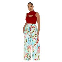 Women's Sexy Streetwear Color Block Polyester Printing Hollow Out Pants Sets sku image 6